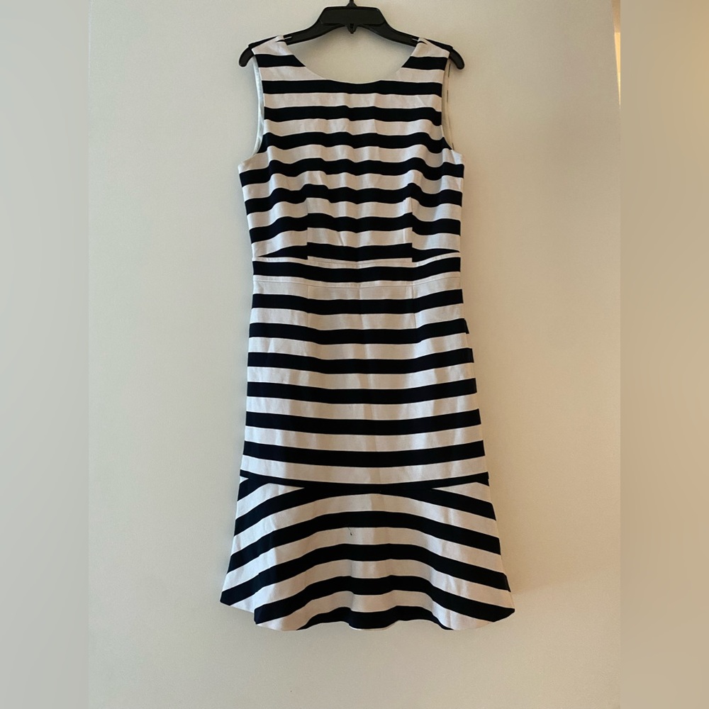 Banana Republic Navy & White Striped Fitted Dress